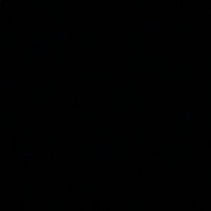 Meet your Posher, Will